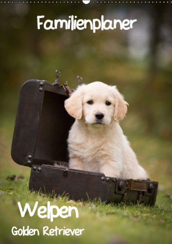 Familienplaner: Golden Retriever Welpen (Wandkalender 2014 DIN A4 hoch): Dieser Familienplaner mit 5 Spalten wird Ihnen jeden Monat erneut ein Lächeln ins Gesicht zaubern. (Monatskalender, 14 Seiten) Natural Sciences
