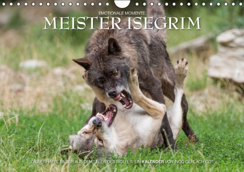 Meister Isegrim (Wandkalender 2014 DIN A4 quer): Zauberhafte Bilder aus dem Leben des Wolfes. Ein Kalender von Ingo Gerlach GDT. (Monatskalender, 14 Seiten) Leisure, Home & Garden