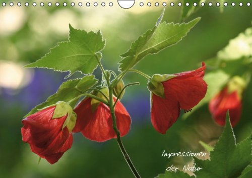 Kalender Nr. 1 / 2014 (Wandkalender 2014 DIN A4 quer): Naturimpressionen (Monatskalender, 14 Seiten) Living & Furnishing