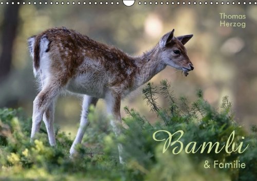 BAMBI & Familie (Wandkalender 2014 DIN A3 quer): Impressionen vom Rot- und Damwild (Monatskalender, 14 Seiten) Film, Art & Culture