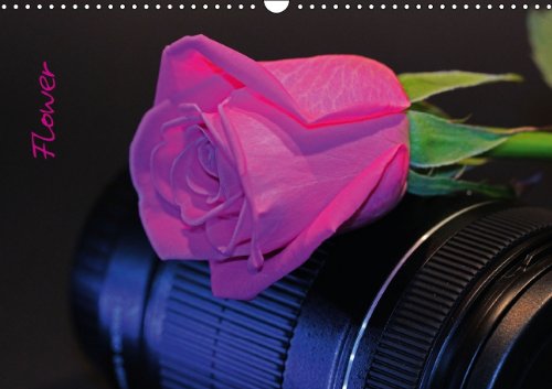 Flower (Wandkalender 2014 DIN A3 quer): Aus Liebe zur Fotografie (Monatskalender, 14 Seiten) Leisure, Home & Garden