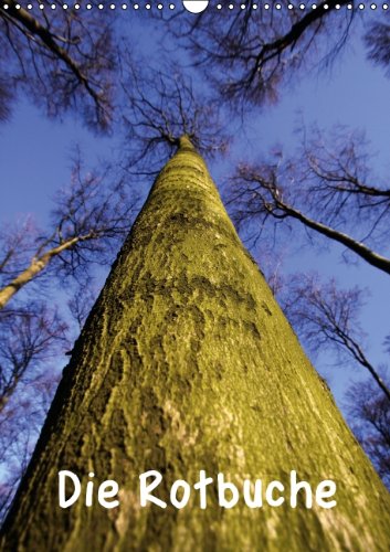 Die Rotbuche (Wandkalender 2014 DIN A3 hoch): Mächtige Herrscherin unserer Wälder (Monatskalender, 14 Seiten) Natural Sciences