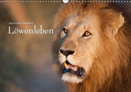 Emotionale Momente: Löwenleben (Wandkalender 2014 DIN A3 quer): Aus dem Leben der faszinierenden Löwen Afrikas (Monatskalender, 14 Seiten) Leisure, Home & Garden