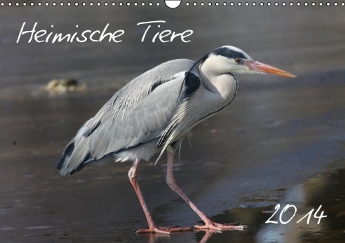 Heimische Tiere (Wandkalender 2014 DIN A3 quer): Tiere die jeder kennt (Monatskalender, 14 Seiten) Lifestyle
