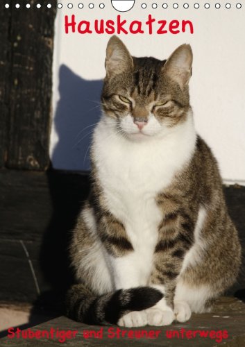 Hauskatzen (Wandkalender 2014 DIN A4 hoch): Stubentiger und Streuner unterwegs (Monatskalender, 14 Seiten) Natural Sciences