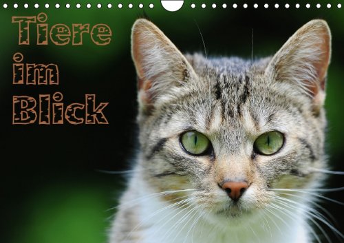 Tiere im Blick (Wandkalender 2014 DIN A4 quer): Tierfotos, aus der freien Natur und Zoos (Monatskalender, 14 Seiten) Leisure, Home & Garden