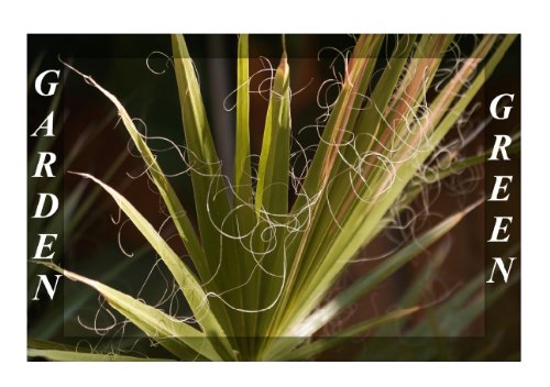 GARDEN GREEN (Tischaufsteller DIN A5 quer): grüne Aufnahmen vom Streifzug durch den Garten (Tischaufsteller, 14 Seiten) (CALVENDO Natur) r.gue., k.A. Leisure, Home & Garden
