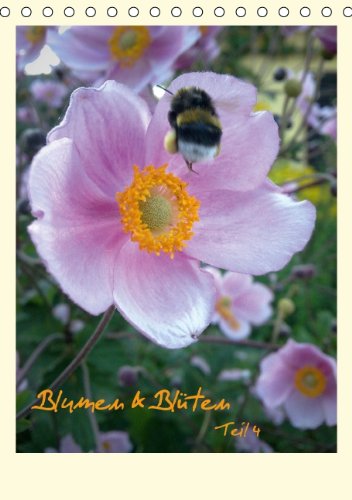 Blumen & Blüten - Teil 4 (Tischkalender 2014 DIN A5 hoch): Blumen und Blüten aus unserer Heimat, voller Faszination von Natur, Farben und Formen. ... aus Erfurt. (Tischkalender, 14 Seiten) Film, Art & Culture