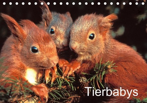 Tierbabys (Tischkalender 2014 DIN A5 quer): Junge Tiere vor der Kamera (Tischkalender, 14 Seiten) Leisure, Home & Garden