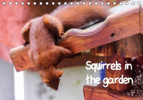 Squirrels in the garden (US Version) (Table Calendar 2014 DIN A5 Landscape): Moments of the life of our droll garden resident (Table Calendar, 14 pages) Natural Sciences