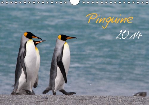 Pinguine 2014 (Wandkalender 2014 DIN A4 quer): Wandkalender mit 13 Bildern (Monatskalender, 14 Seiten) Natural Sciences