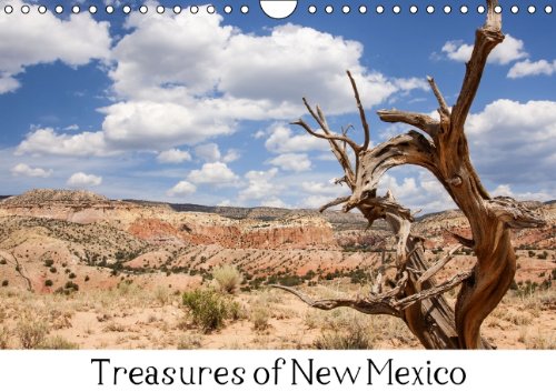 Treasures of New Mexico (Wandkalender 2014 DIN A4 quer): Beeindruckende Landschaftsbilder aus New Mexico (Monatskalender, 14 Seiten) Leisure, Home & Garden