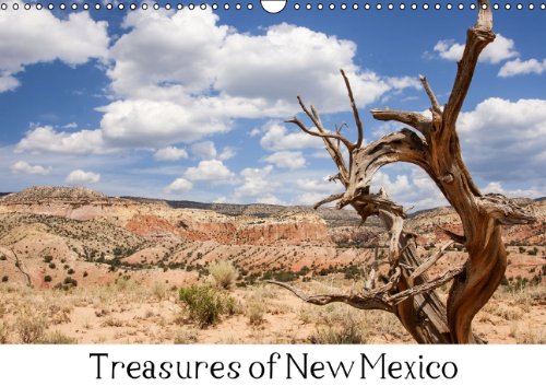 Treasures of New Mexico (Wandkalender 2014 DIN A3 quer): Beeindruckende Landschaftsbilder aus New Mexico (Monatskalender, 14 Seiten) Leisure, Home & Garden