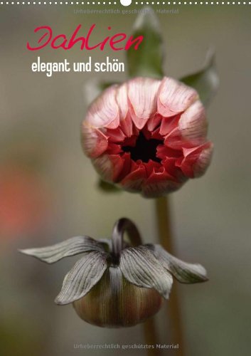 Dahlien - elegant und schön (Wandkalender 2014 DIN A2 hoch): Dahlien: ein Feuerwerk an Farben in vielfältiger Ausprägung (Monatskalender, 14 Seiten) Natural Sciences