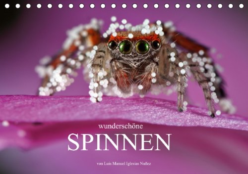 Wunderschöne Spinnen (Tischkalender 2014 DIN A5 quer): Die verborgene Schönheit der Spinnen (Tischkalender, 14 Seiten) Natural Sciences