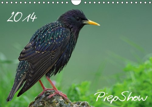PiepShow (Wandkalender 2014 DIN A4 quer): Kleine Vögel ganz Gross (Monatskalender, 14 Seiten) Film, Art & Culture