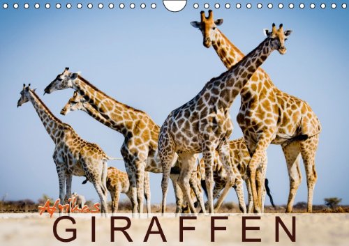 Afrikas Giraffen (Wandkalender 2014 DIN A4 quer): Tiere mit Weitblick (Monatskalender, 14 Seiten) Natural Sciences