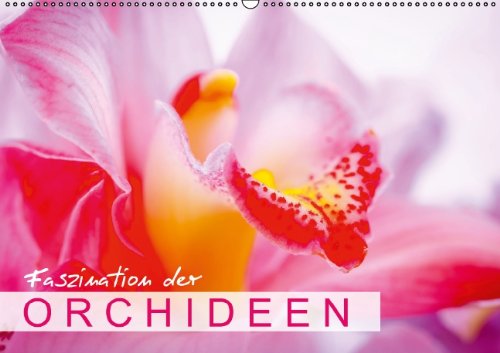 Faszination der Orchideen (Wandkalender 2014 DIN A2 quer): Filigrane Blütenträume (Monatskalender, 14 Seiten) Natural Sciences
