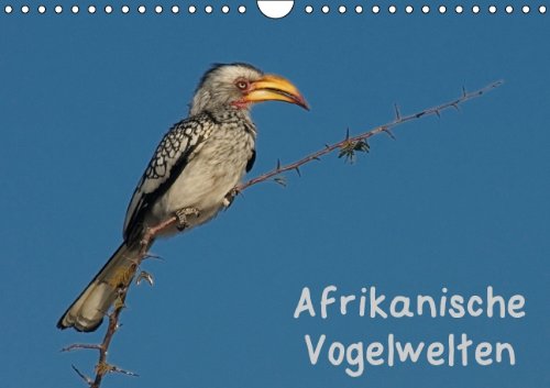 Afrikanische Vogelwelten (Wandkalender 2014 DIN A4 quer): Vogelportraits aus dem südlichen Afrika (Monatskalender, 14 Seiten) Leisure, Home & Garden