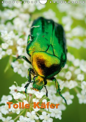 Tolle Käfer (Wandkalender 2014 DIN A4 hoch): Die Farben- und Formenvielfalt der Insekten (Monatskalender, 14 Seiten) Natural Sciences