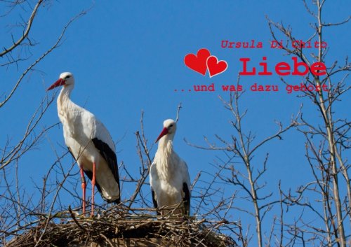 Liebe... und was dazu gehört (Posterbuch DIN A4 quer): Liebe, viel mehr als nur ein kleines Wort (Posterbuch, 14 Seiten) (CALVENDO Menschen) Di Chito, Ursula Posters