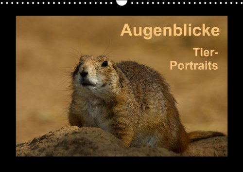 Augenblicke - Tierportraits (Wandkalender 2014 DIN A3 quer): Tierportraits mit ausdruckstarken Tierblicken (Monatskalender, 14 Seiten) Leisure, Home & Garden