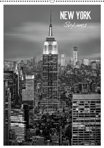 NEW YORK Skylines (CH - Version) (Wandkalender 2014 DIN A2 hoch): Moderner Terminplaner mit Top-Panorama-Ansichten der amerikanischen Millionenmetropole! (Monatskalender, 14 Seiten) Leisure, Home & Garden