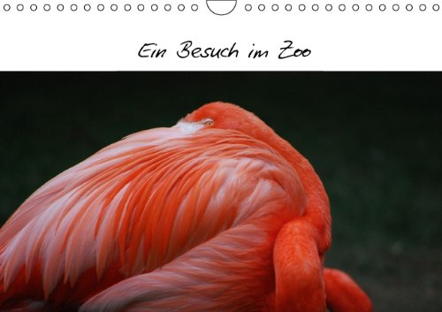 Ein Besuch im Zoo (Wandkalender 2014 DIN A4 quer): Kleiner Zoo für Zuhause. Vom frechen Spatz bis zum kleinem Tiger. (Monatskalender, 14 Seiten) Philosophy