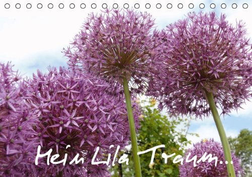 Mein Lila Traum...... (Tischkalender 2014 DIN A5 quer): Kalender beinhaltet Zitate über Leben, Liebe und Menschlichkeit (Tischkalender, 14 Seiten) Leisure, Home & Garden