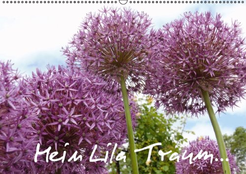 Mein Lila Traum...... (Wandkalender 2014 DIN A2 quer): Kalender beinhaltet Zitate über Leben, Liebe und Menschlichkeit (Monatskalender, 14 Seiten) Leisure, Home & Garden