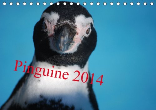 Pinguine 2014 (Tischkalender 2014 DIN A5 quer): Kleine Kerle im Frack (Tischkalender, 14 Seiten) Calendars