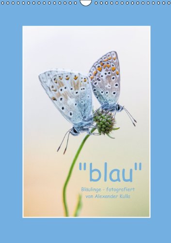 "blau" (Wandkalender 2014 DIN A3 hoch): Bläulinge fotografiert von Alexander Kulla (Monatskalender, 14 Seiten) Natural Sciences