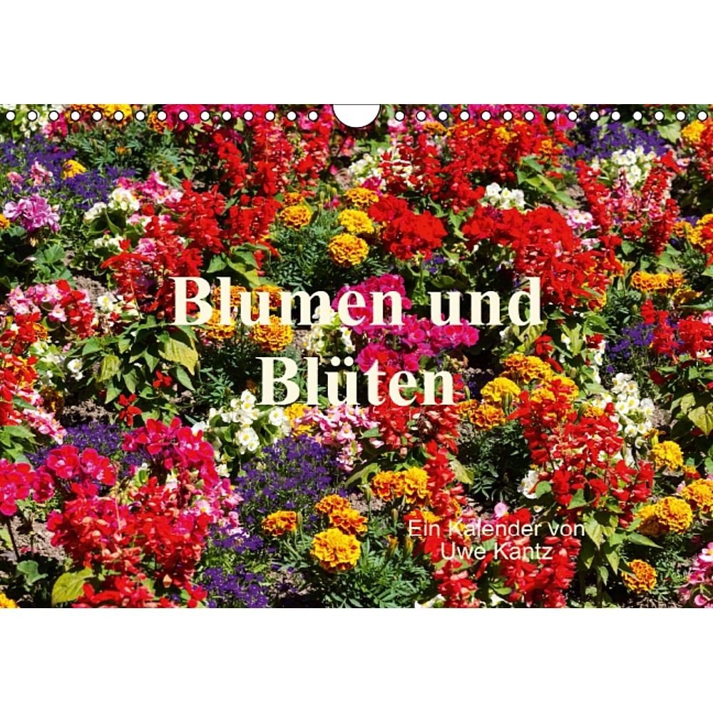 Blumen und Blüten (Wandkalender 2014 DIN A4 quer): Eine bunter Strauß schöner Blumen (Monatskalender, 14 Seiten) Natural Sciences