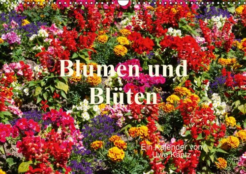 Blumen und Blüten (Wandkalender 2014 DIN A3 quer): Eine bunter Strauß schöner Blumen (Monatskalender, 14 Seiten) Natural Sciences