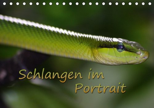 Schlangen im Portrait (Tischkalender 2014 DIN A5 quer): In schönen Tierfotos werden verschiedene Schlangen porträtiert. (Tischkalender, 14 Seiten) Living & Furnishing