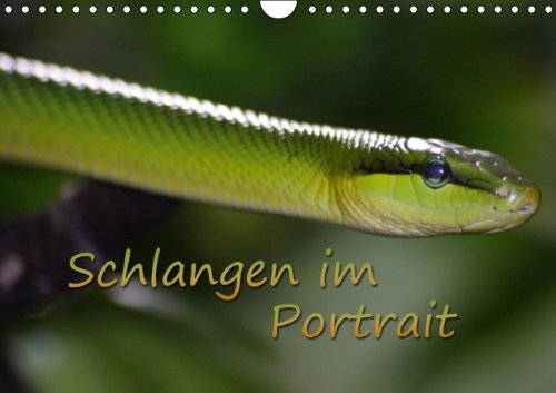 Schlangen im Portrait (Wandkalender 2014 DIN A4 quer): In schönen Tierfotos werden verschiedene Schlangen porträtiert. (Monatskalender, 14 Seiten) Living & Furnishing