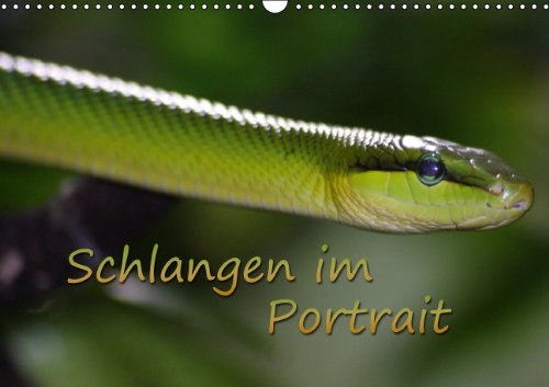 Schlangen im Portrait (Wandkalender 2014 DIN A3 quer): In schönen Tierfotos werden verschiedene Schlangen porträtiert. (Monatskalender, 14 Seiten) Living & Furnishing