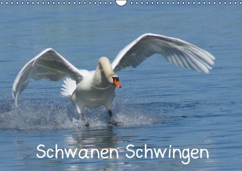 Schwanen Schwingen (Wandkalender 2014 DIN A3 quer): Höckerschwäne in Bewegung (Monatskalender, 14 Seiten) Natural Sciences