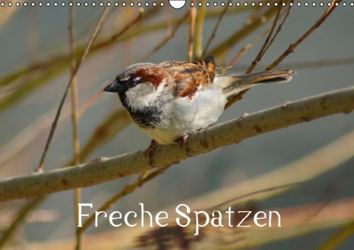 Freche Spatzen (Wandkalender 2014 DIN A3 quer): Haussperlinge (Passer domesticus) in Stadt und Natur (Monatskalender, 14 Seiten) Living & Furnishing