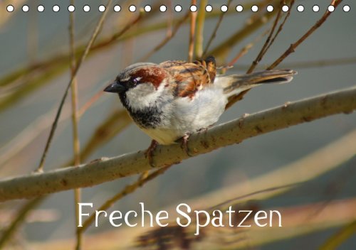 Freche Spatzen (Tischkalender 2014 DIN A5 quer): Haussperlinge (Passer domesticus) in Stadt und Natur (Tischkalender, 14 Seiten) Living & Furnishing