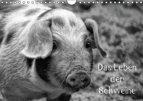 Das Leben der Schweine (Wandkalender 2014 DIN A4 quer): Hausschweine und Minischweine in schwarz/weiß (Monatskalender, 14 Seiten) Living & Furnishing