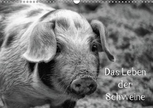 Das Leben der Schweine (Wandkalender 2014 DIN A3 quer): Hausschweine und Minischweine in schwarz/weiß (Monatskalender, 14 Seiten) Living & Furnishing