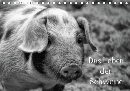 Das Leben der Schweine (Tischkalender 2014 DIN A5 quer): Hausschweine und Minischweine in schwarz/weiß (Tischkalender, 14 Seiten) Living & Furnishing