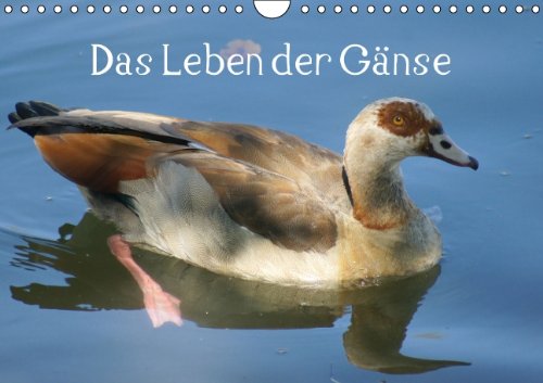 Das Leben der Gänse (Wandkalender 2014 DIN A4 quer): Hausgänse und ihre wilde Verwandschaft (Monatskalender, 14 Seiten) Living & Furnishing