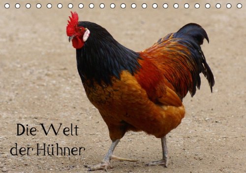 Die Welt der Hühner (Tischkalender 2014 DIN A5 quer): Kunterbuntes Hühnervolk (Tischkalender, 14 Seiten) Living & Furnishing