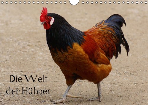 Die Welt der Hühner (Wandkalender 2014 DIN A4 quer): Kunterbuntes Hühnervolk (Monatskalender, 14 Seiten) Living & Furnishing