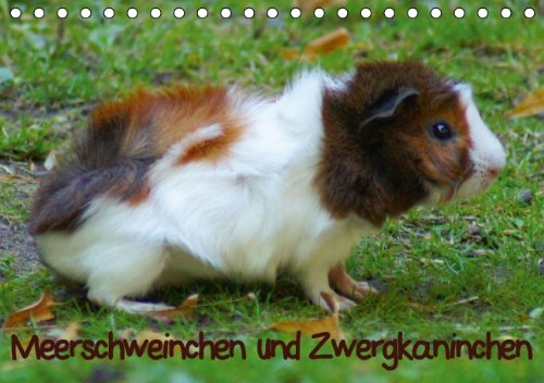 Meerschweinchen und Zwergkaninchen (Tischkalender 2014 DIN A5 quer): Kleintiere als Heimtier (Tischkalender, 14 Seiten) Natural Sciences