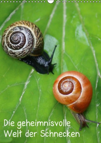 Die geheimnisvolle Welt der Schnecken (Wandkalender 2014 DIN A3 hoch): Weichtiere (Monatskalender, 14 Seiten) Living & Furnishing