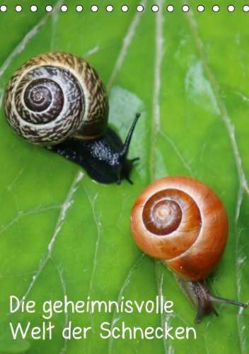 Die geheimnisvolle Welt der Schnecken (Tischkalender 2014 DIN A5 hoch): Weichtiere (Tischkalender, 14 Seiten) Living & Furnishing