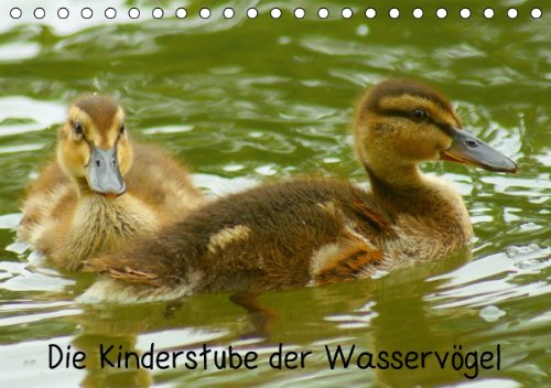Die Kinderstube der Wasservögel (Tischkalender 2014 DIN A5 quer): Wasservogel Küken (Tischkalender, 14 Seiten) Natural Sciences